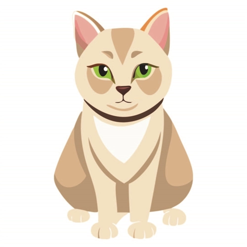 Cat Lovers Theme Burmese Cat Transparent Sticker